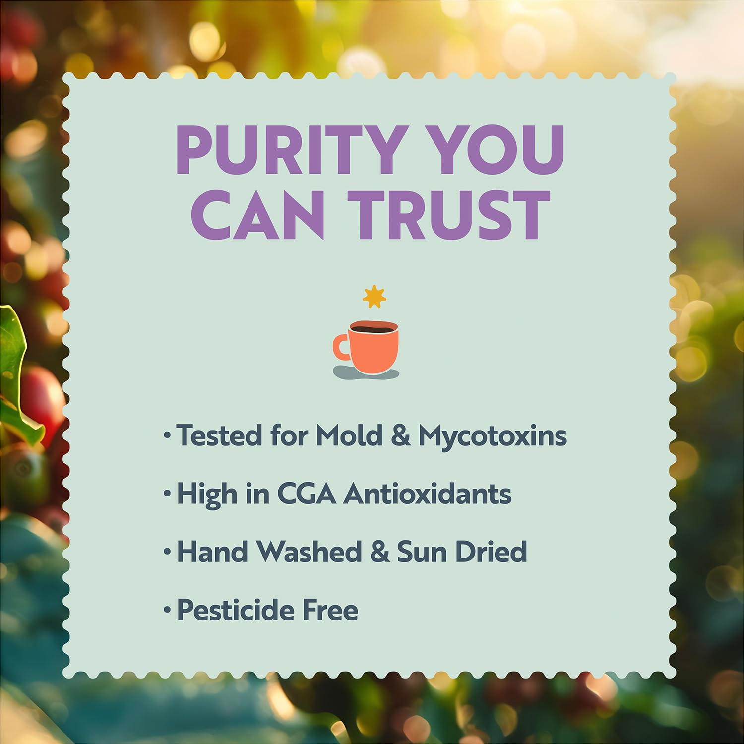 . – Low Acid Medium Roast, Tested for Molds and Toxins, Costa Rica Blend, Not…