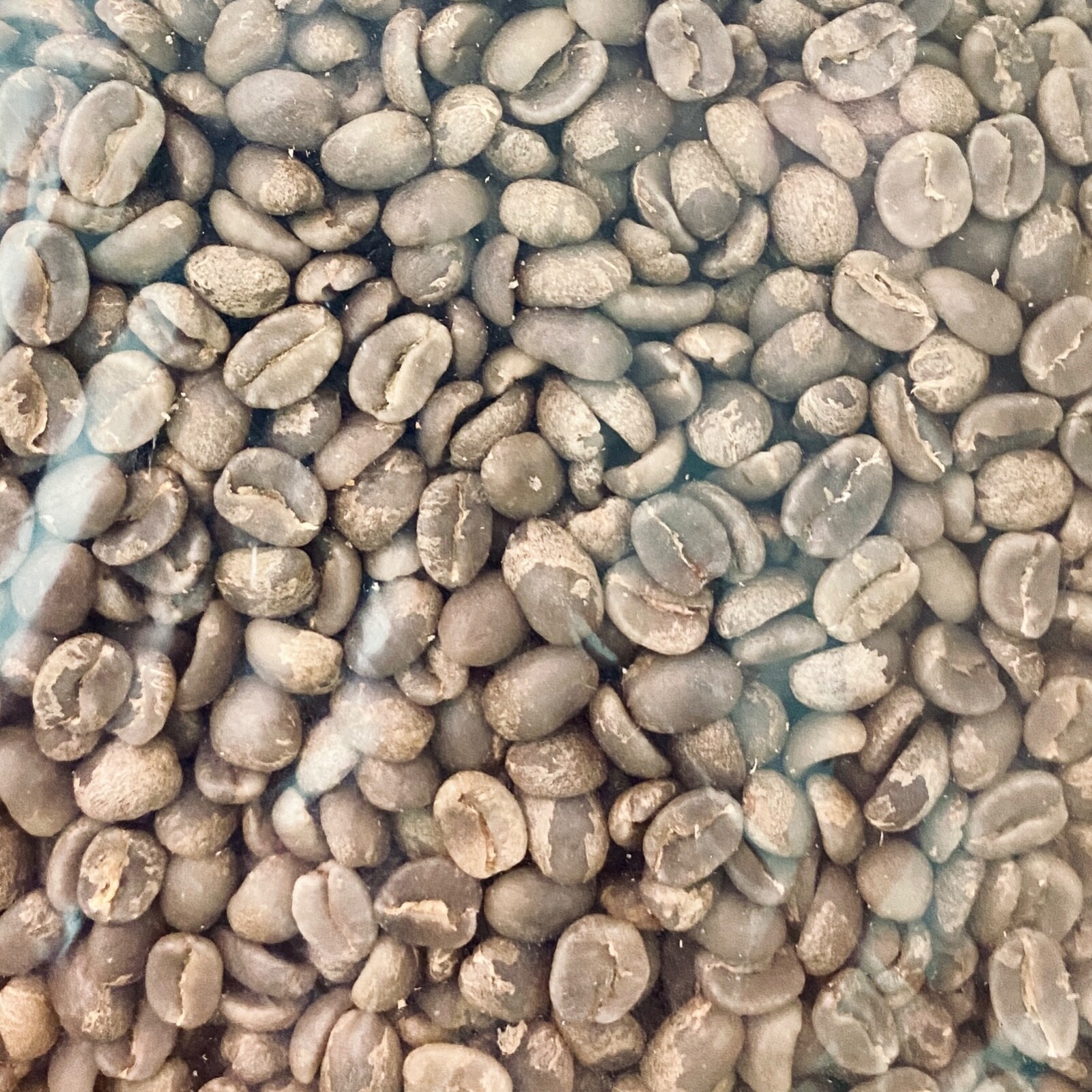COLOMBIAN GREEN COFFEE – CATURRA, ARABICA – SINGLE ESTATE – HUILA, CO – 10 LB