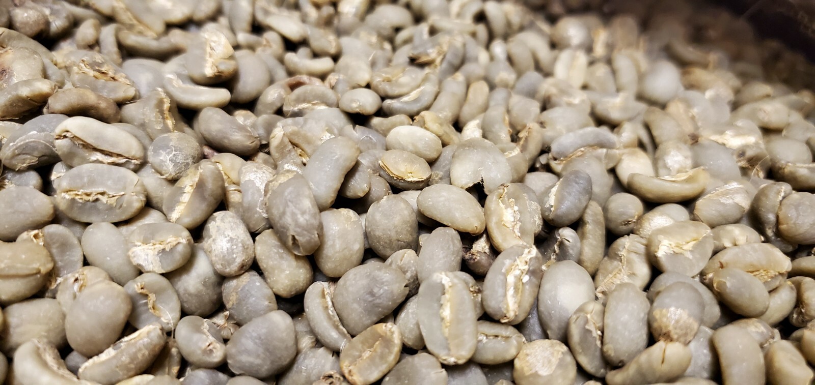 5 LB INDONESIA SUMATRA MANDHELING UNROASTED GREEN COFFEE BEANS – ARABICA