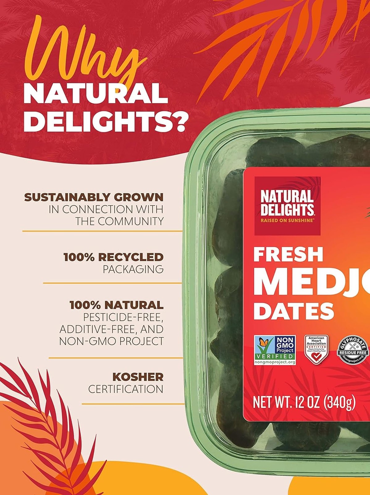 Natural Delights Medjool Dates – Large & Plump, Whole 12 Ounce (Pack of 1)