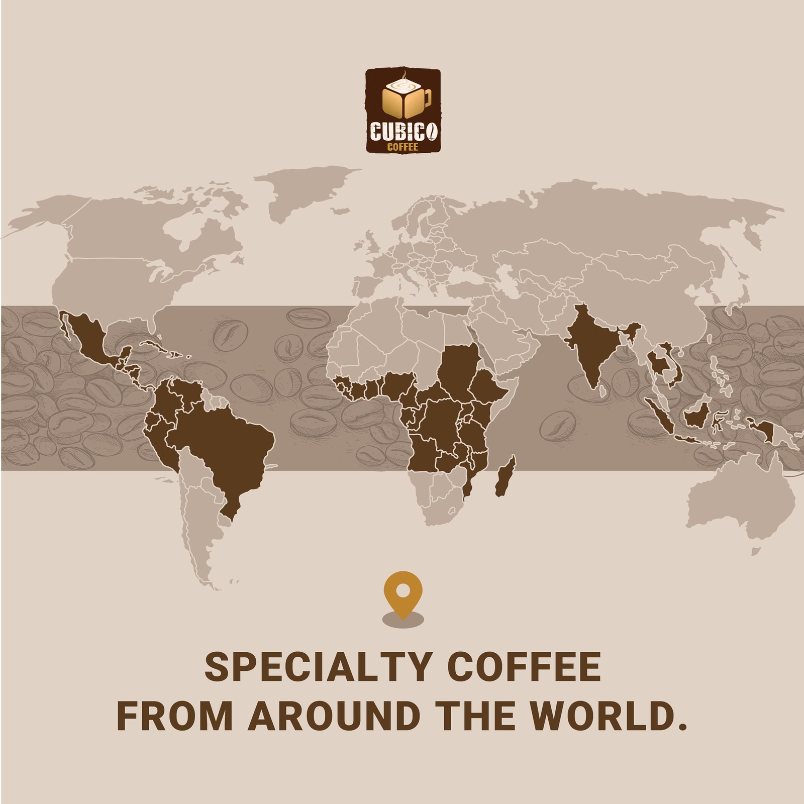 Nicaraguan Segovia Whole Bean Coffee Single Origin Fresh Roasted 12 Ounce
