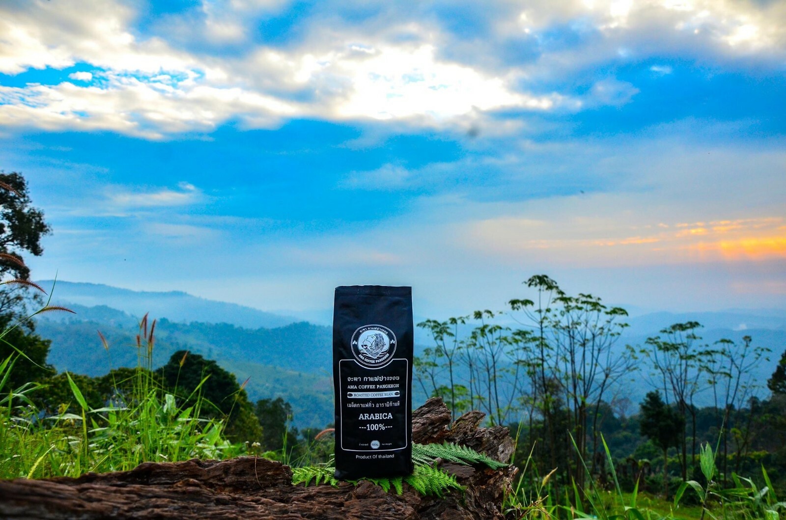 Roasted Coffee Beans AMA COFFEE PANGKHON 100% Arabica from Chiangrai Thailand