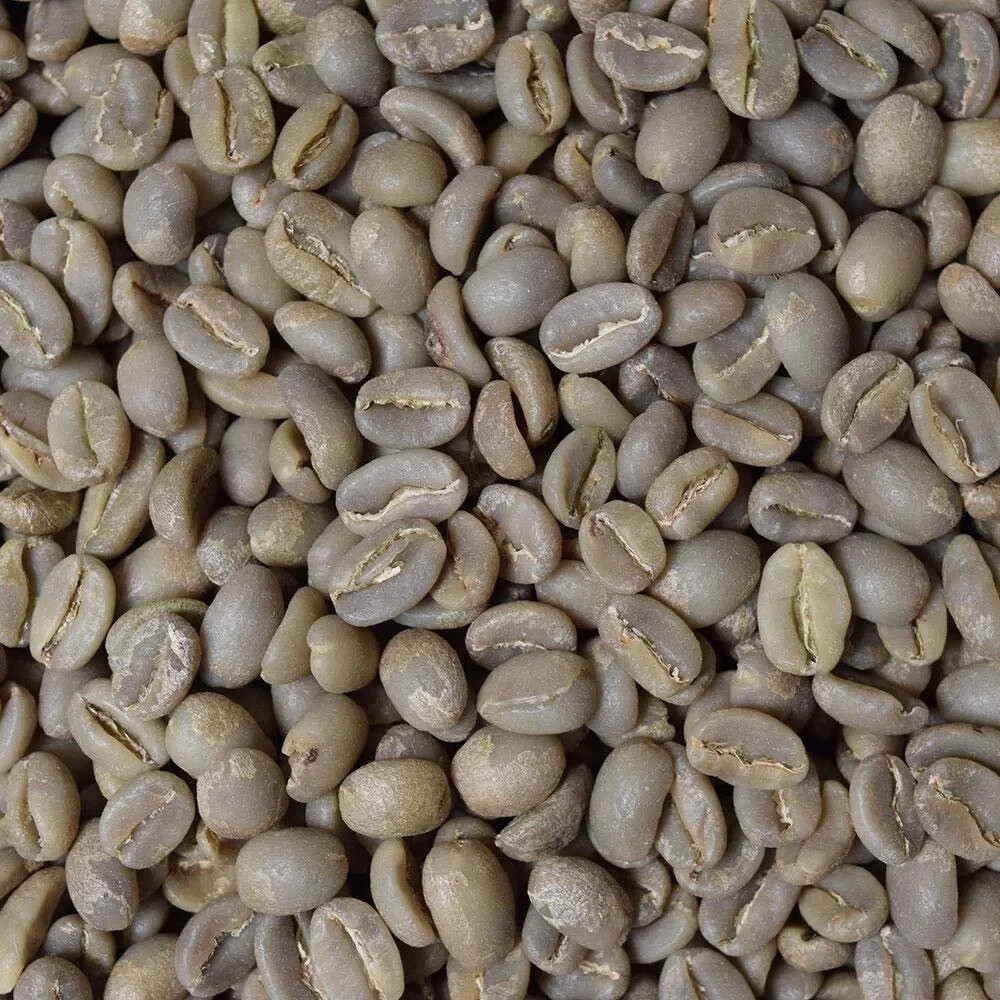 Ethiopian Yirgacheffe Grade 1 Green Unroasted Coffee 5 lb