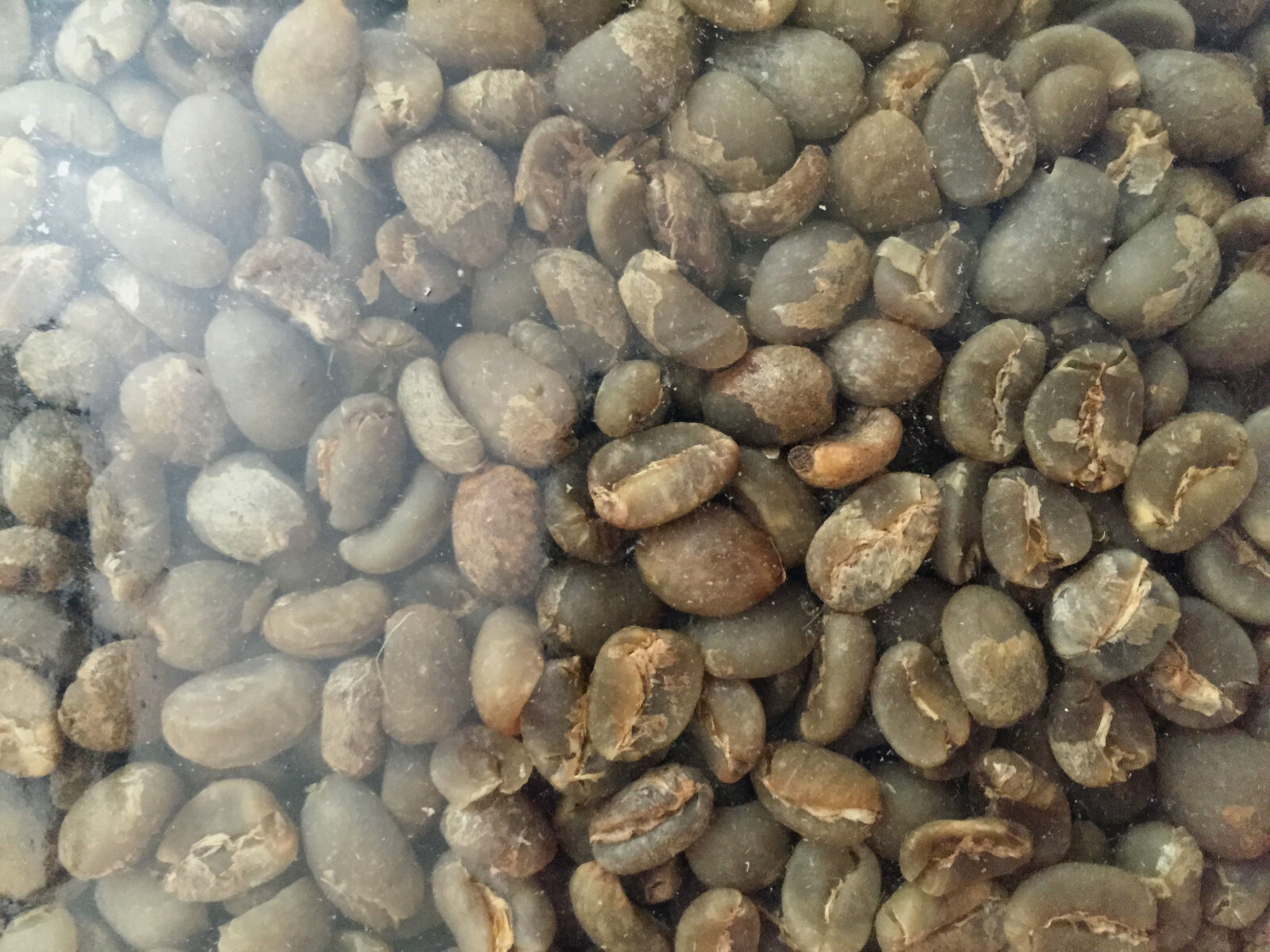 4 LB Green Sumatra Mandheling Coffee Beans – Green Beans for the home roaster