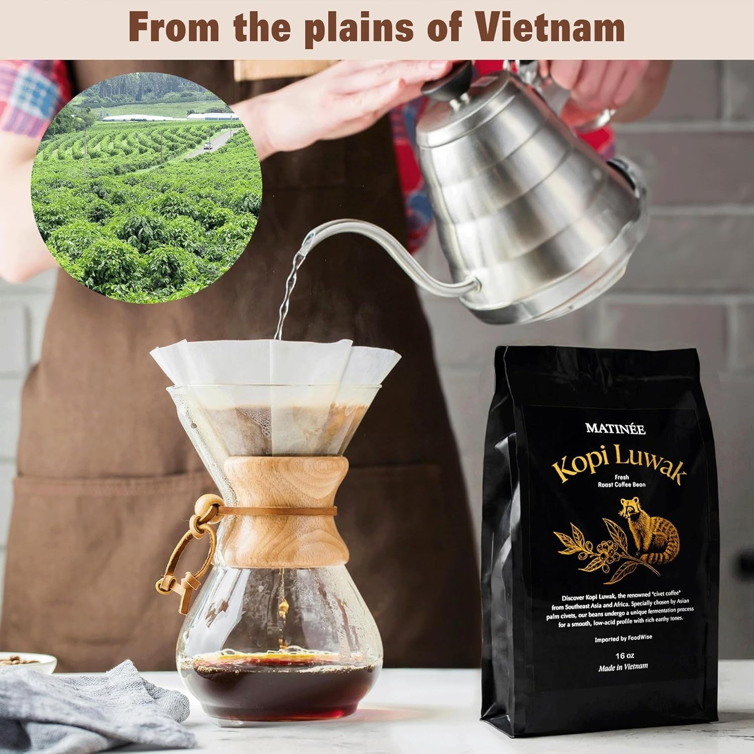 100% Pure Civet Cat Coffee Beans, Sustainably Sourced