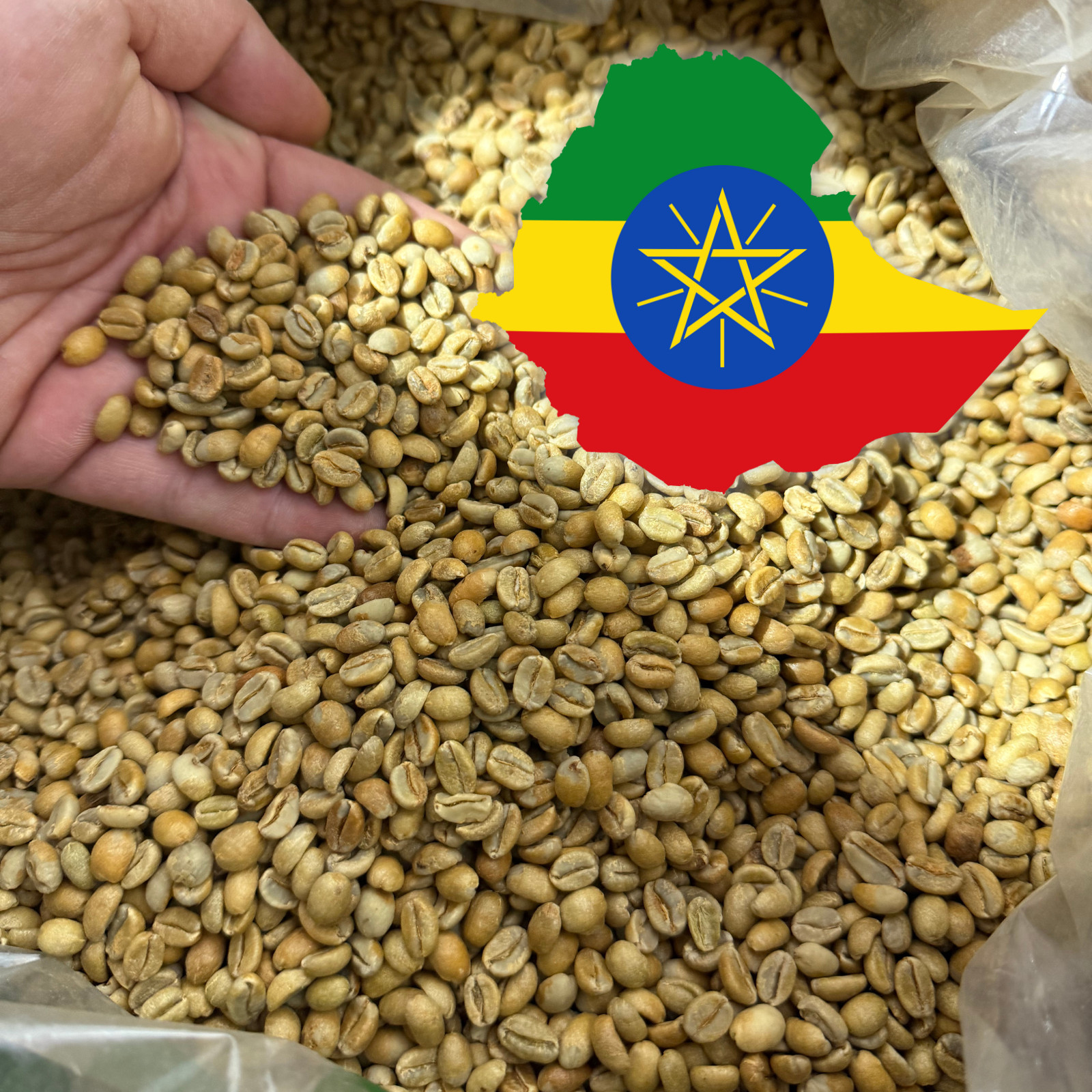 2 LB ETHIOPIA, 87 CUP SCORE UNROASTED GREEN COFFEE BEANS TWO POUND