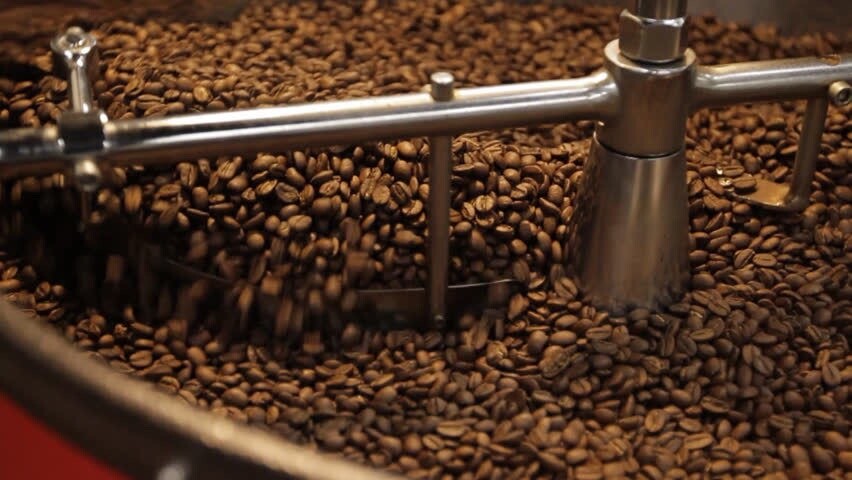 6 lbs El Salvador San Pedro Nonualco Coffee Beans Medium Roast