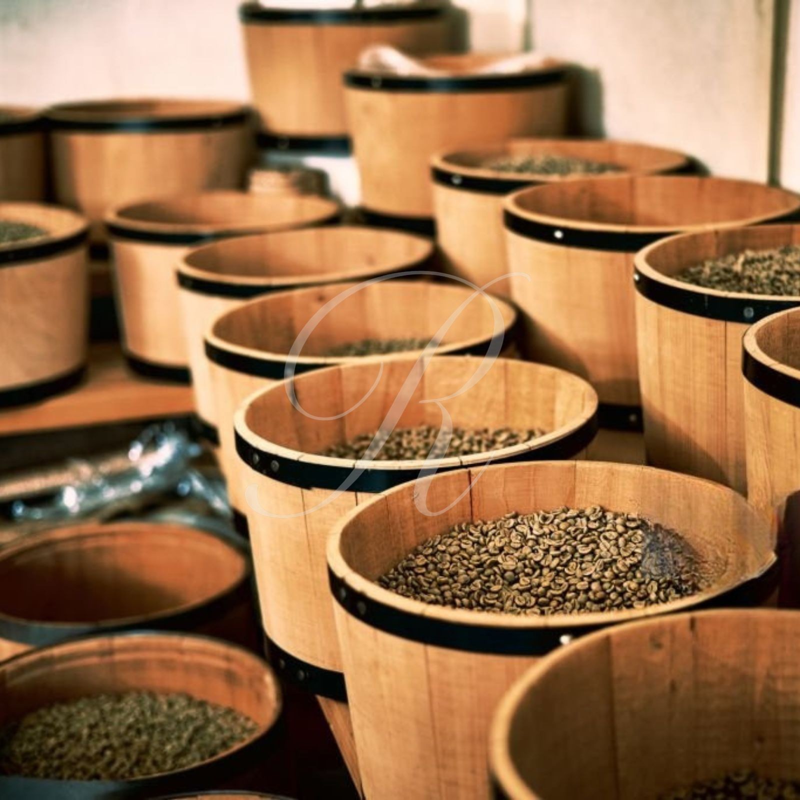 10 lb Combo of 100% Jamaica Blue Mountain & Kona Extra Fancy Coffee – Free Ship!
