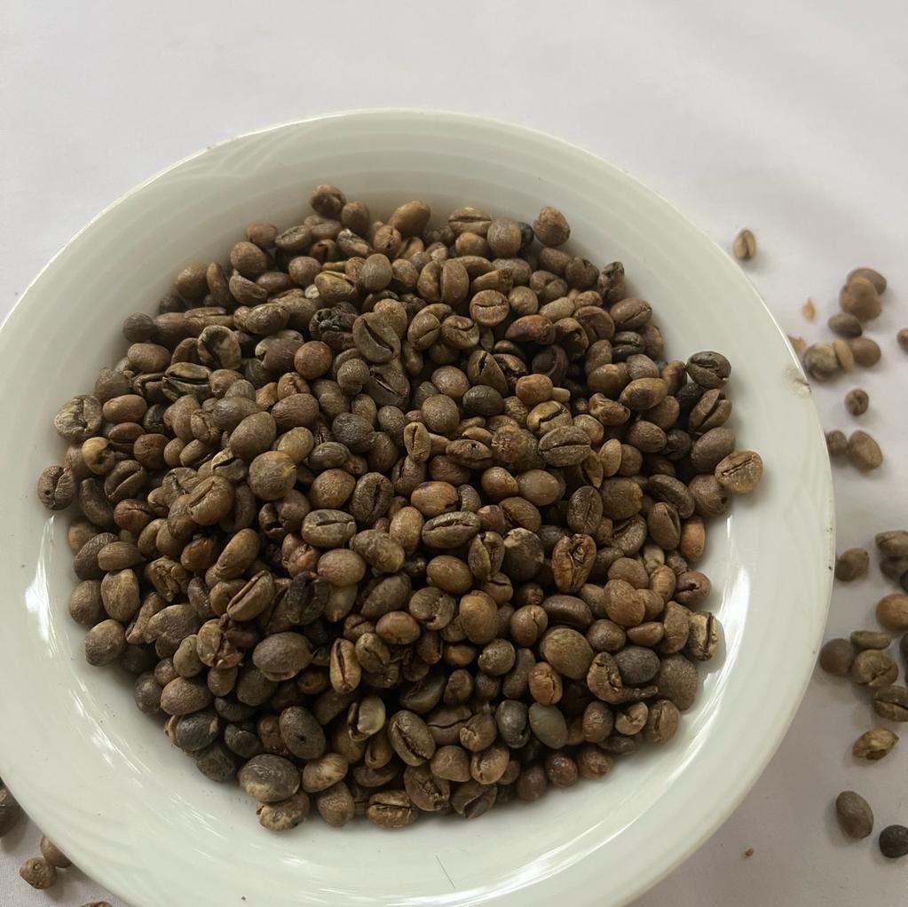Coffee Beans Unroasted 100% Organic Pure Fresh Natural Best Quality Ceylon 100g