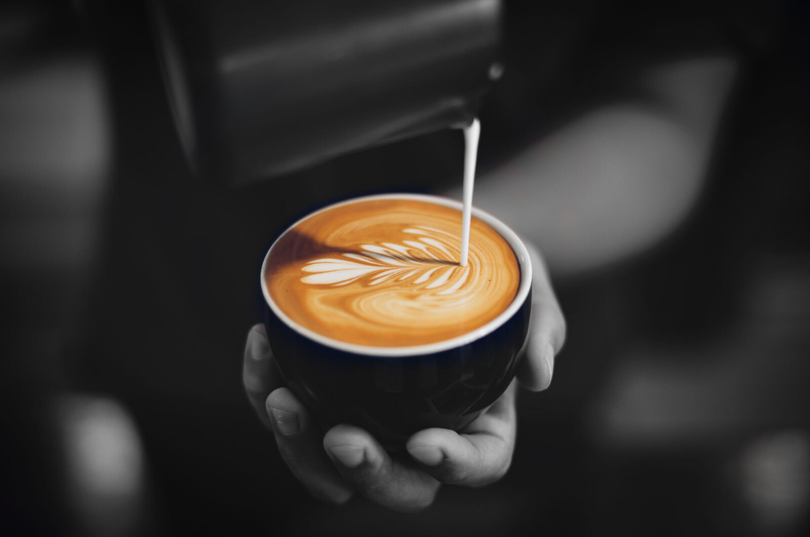 8oz/5lb – Ethiopia Sidamo – African – Premium Fresh Roasted To Order Coffee