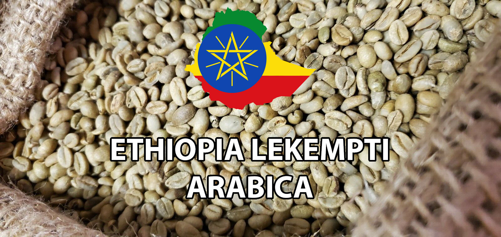 5 LBS ETHIOPIAN ETHIOPIA LEKEMPTI GREEN UNROASTED COFFEE BEANS – ARABICA