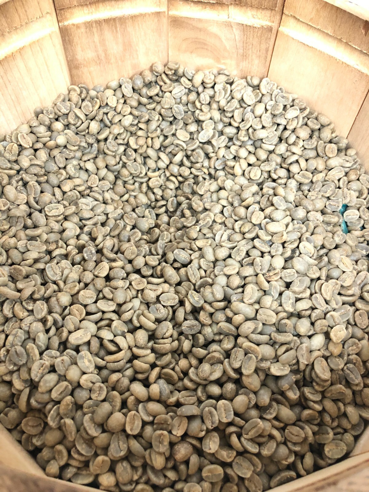 100 Percent Grade 1 Jamaica Blue Mountain Unroasted Green Coffee Beans Bulk