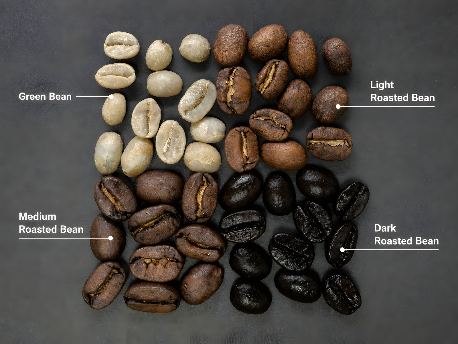 Honduras Copan Specialty Coffee Beans, Fresh Weekly Roasted, 16 oz