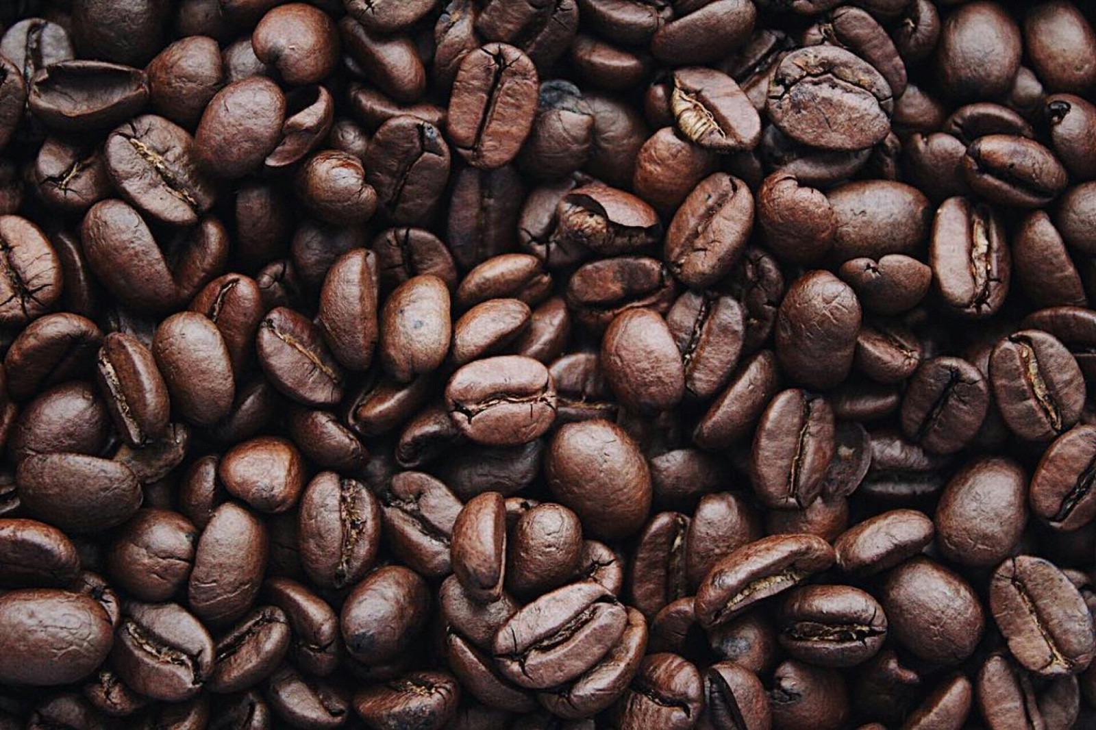SHIPS FROM HI Genuine 100% KONA COFFEE BEANS MEDIUM ROASTED 1 POUND BAG