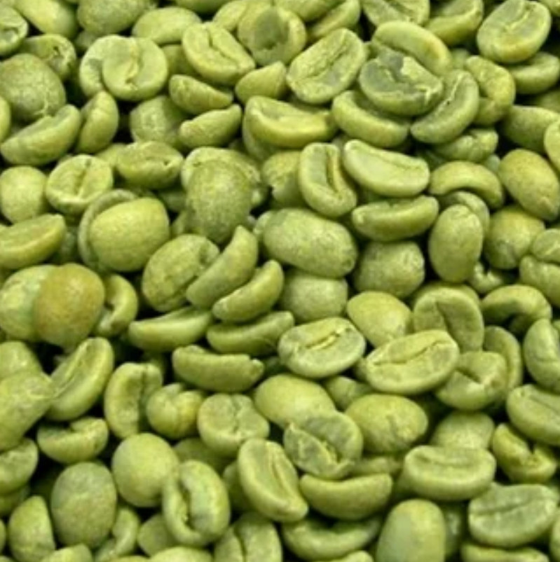 Highest Grade Green Coffee Beans 5 lbs Ethiopian Yirgacheffe