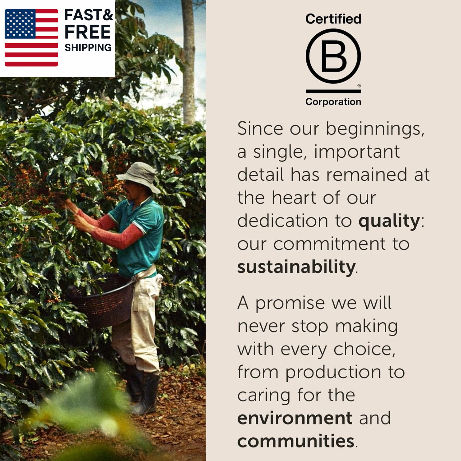 Arabica Selections Ethiopia Whole Bean Coffee, 100% Arabica Bean Single Origin