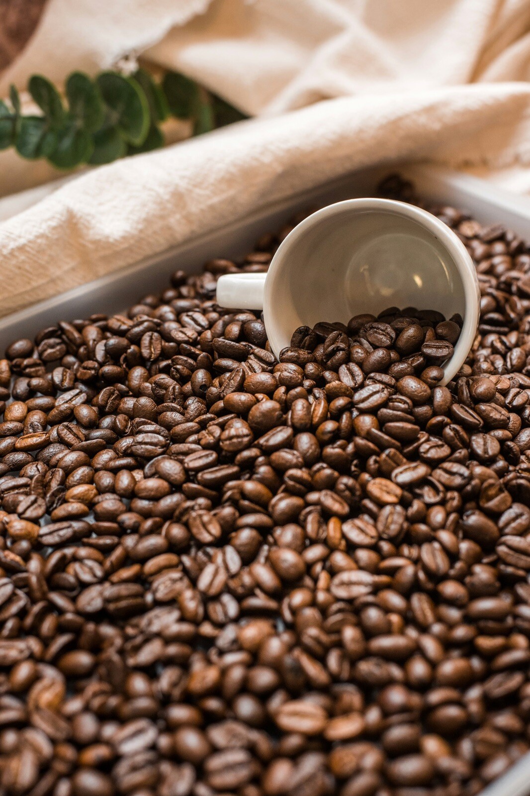 100% Ethiopia Yirgacheffe (Washed). (16oz.)