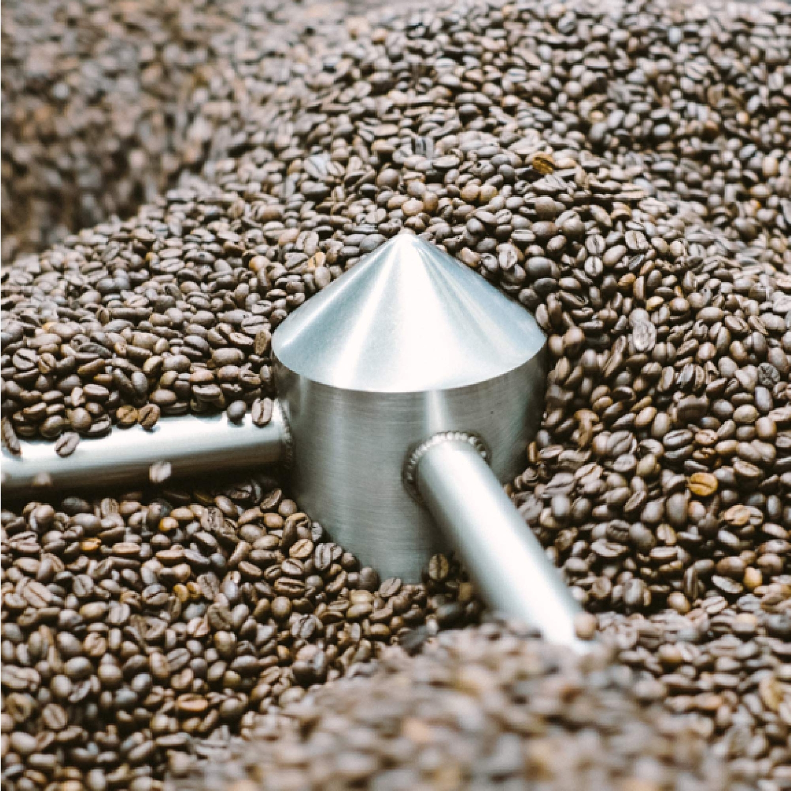 For Five Coffee Roasters – Roasted In NYC – El Salvador La Esperanza Light Roast