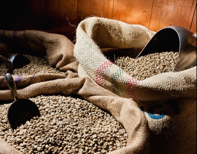 1 LB HIGH ALTITUDE PERUVIAN PERU UNROASTED GREEN COFFEE BEANS – ORGANIC ARABICA