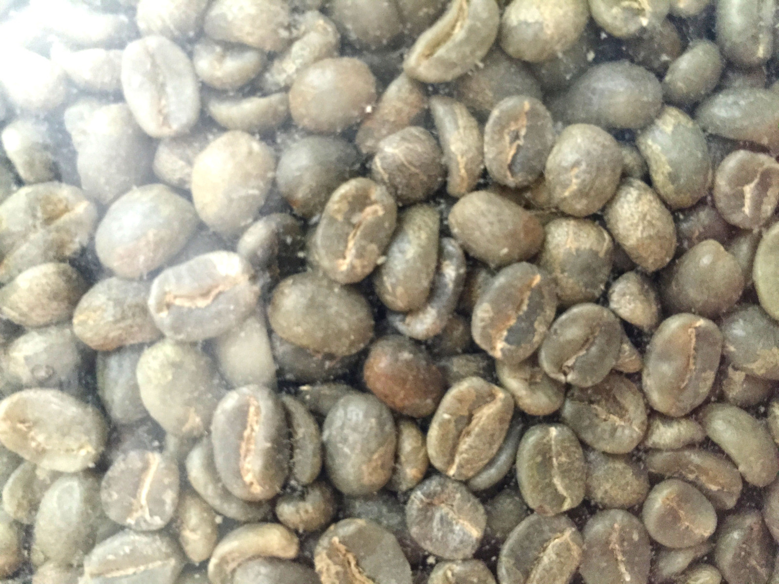 5 lbs Green Coffee – 2.5 lbs Brazil and 2.5 lbs Sumatra