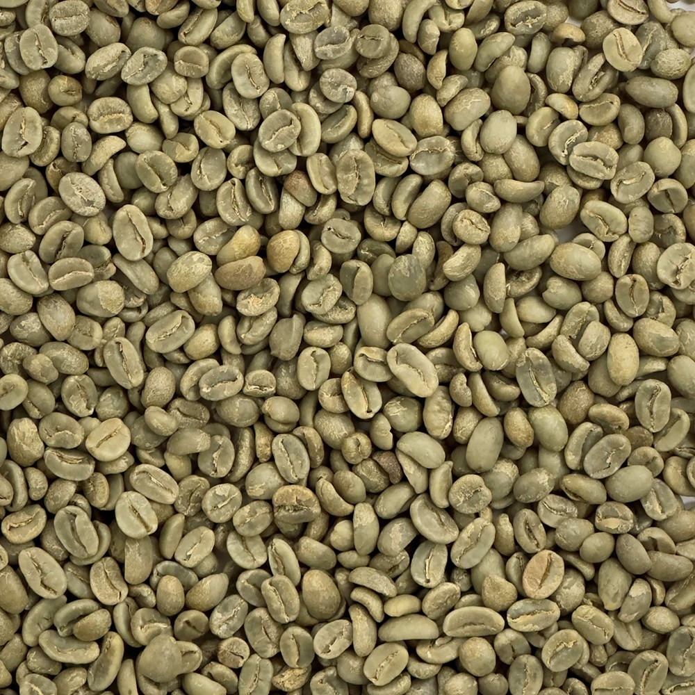 3 LB Peru Organically Grown Green Coffee Beans – Unroasted Peruvian Arabica