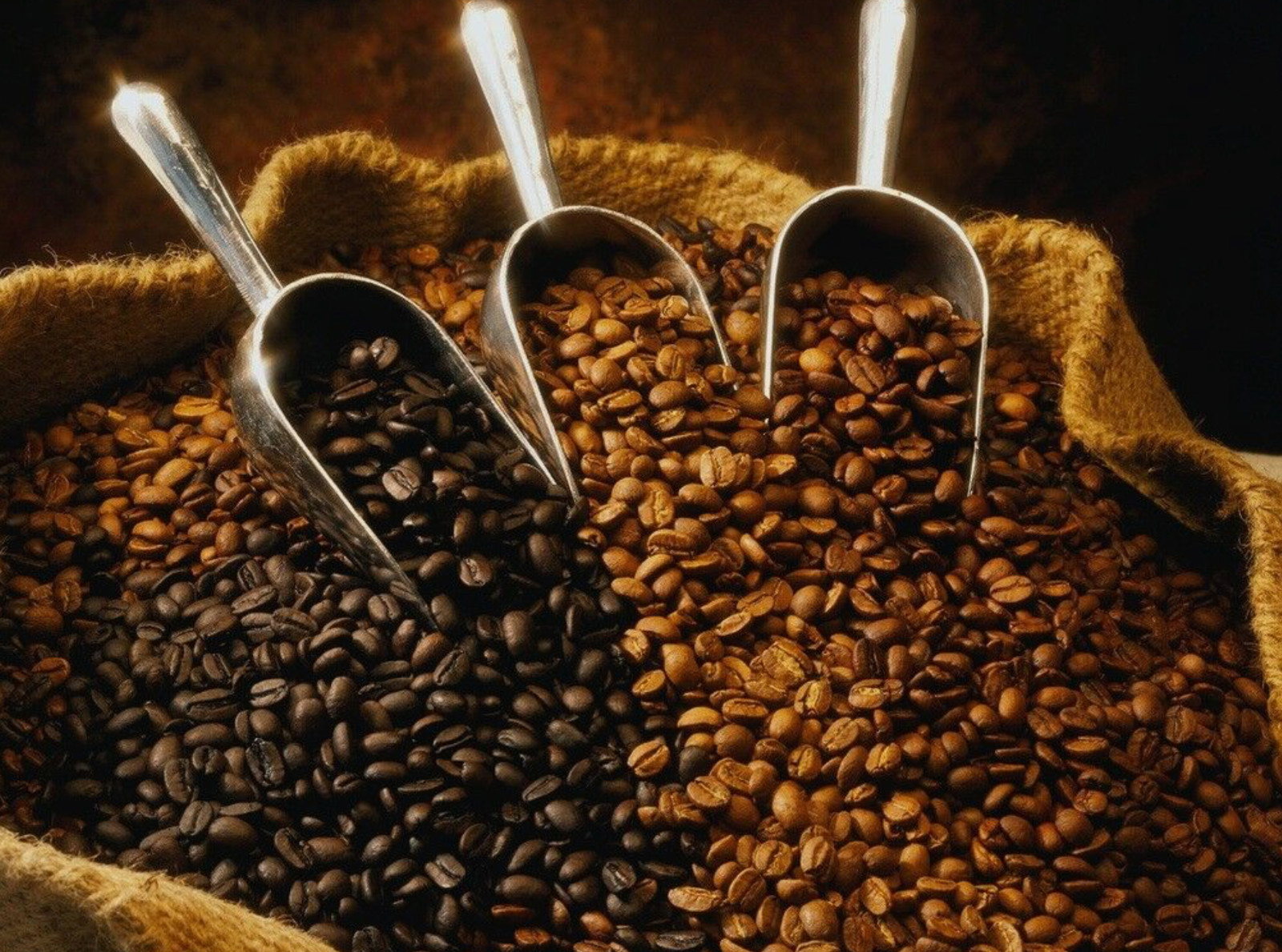 Coffee Chaser Freshly Medium Roasted Colombian Coffee Beans