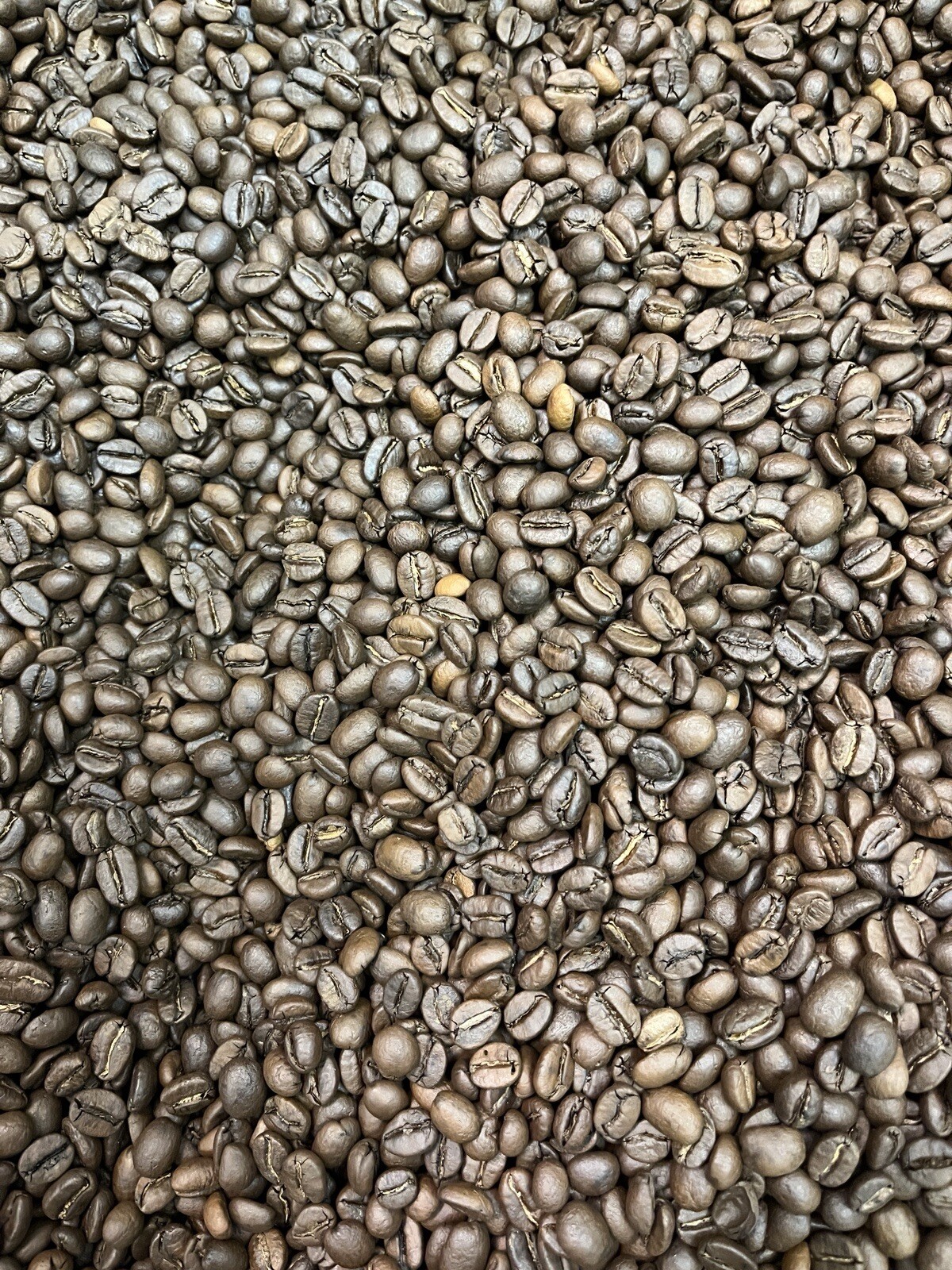 2, 5, 10 LB BRAZIL LEGENDER FRESH ROASTED COFFEE WHOLE BEAN, GROUND – ARABICA