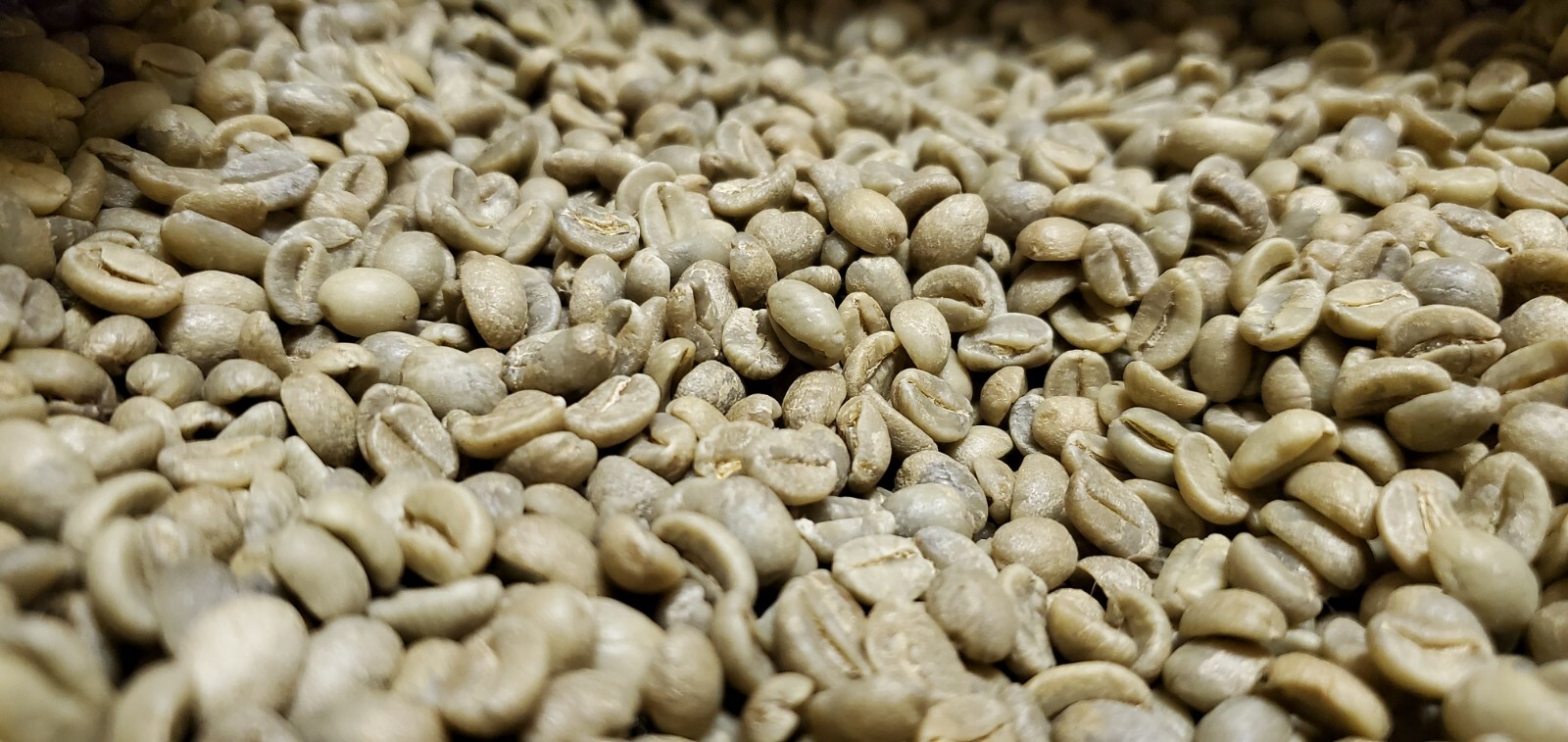 5 LB INDONESIA INDONESIAN JAVA UNROASTED GREEN COFFEE BEANS – ORGANIC ARABICA