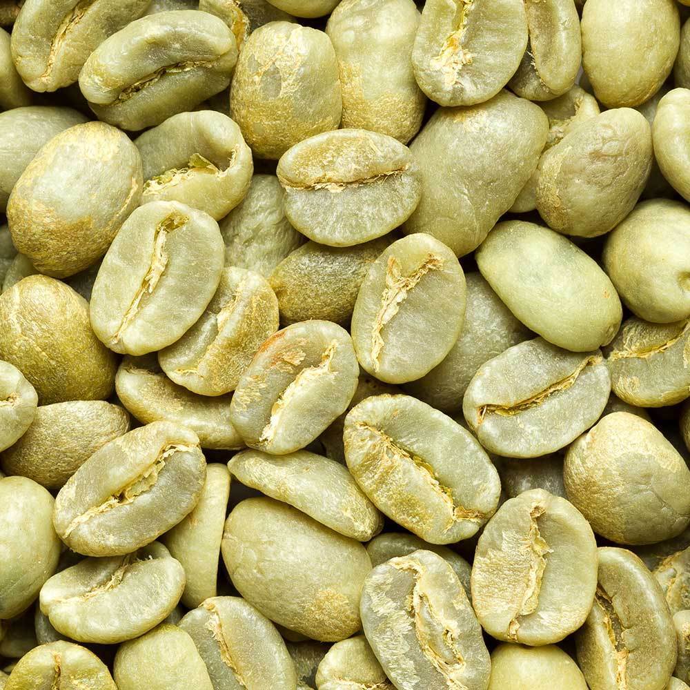 2 lb 5 lb COLOMBIA SUPREMO FRESH ROASTED COLOMBIAN COFFEE BEANS – ARABICA BEANS