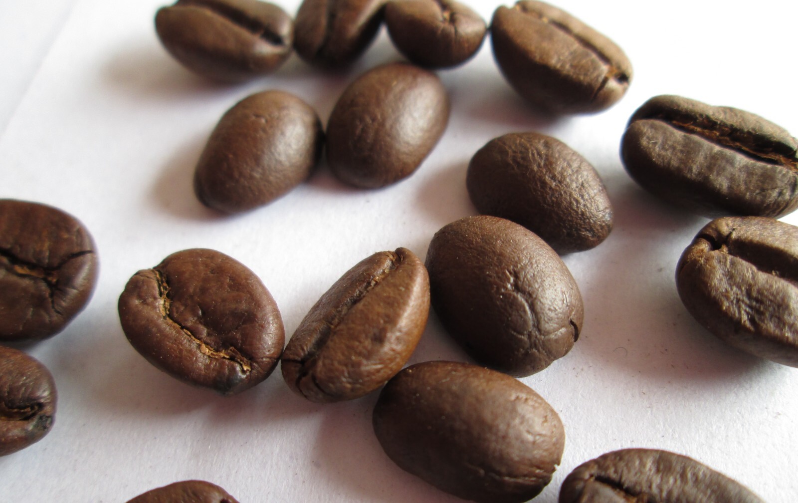 Arabica Medium roast Roasted coffee beans 1000gms