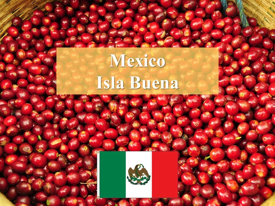 Mexican Isla Buena Green Coffee Specialty Grade Naturally Processed 2.5 lbs 
