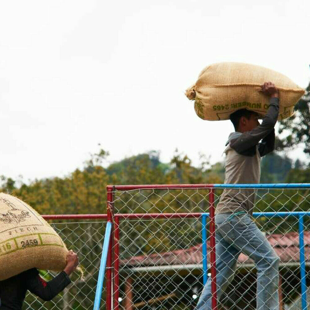 MEXICAN OAXACA COFFEE BEANS MEDIUM ROASTED 2 POUNDS