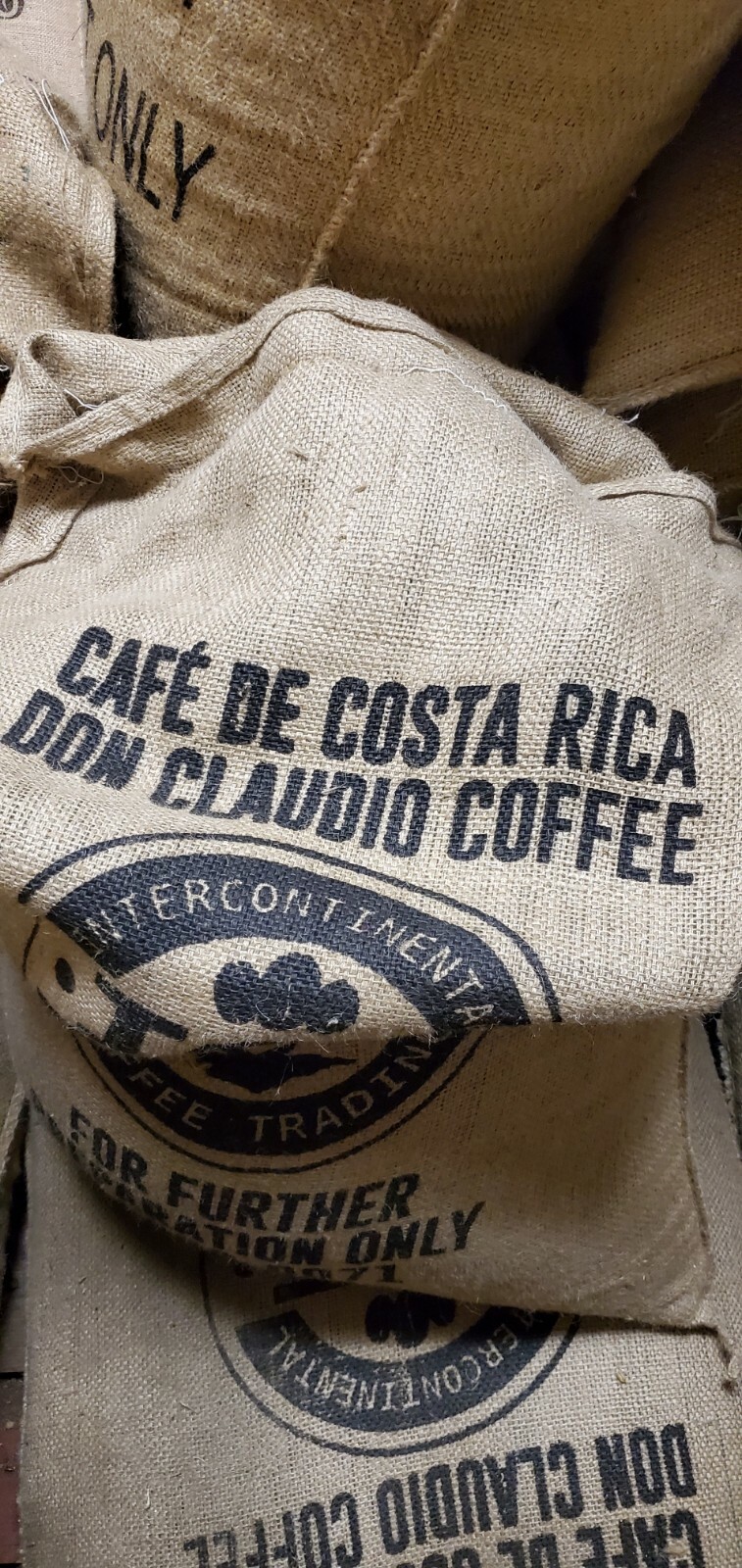 5 LB COSTA RICA, COSTA RICAN, UNROASTED GREEN COFFEE BEANS FIVE POUND – ARABICA