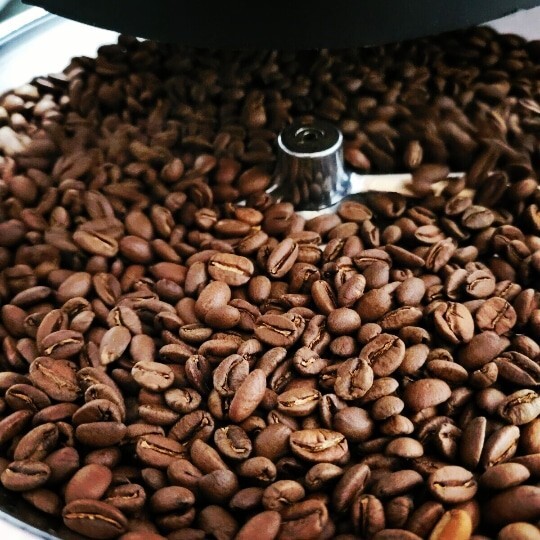 Costa Rican la Candelaria Geisha Coffee Beans Roasted To Order 8oz Muth R. Haus