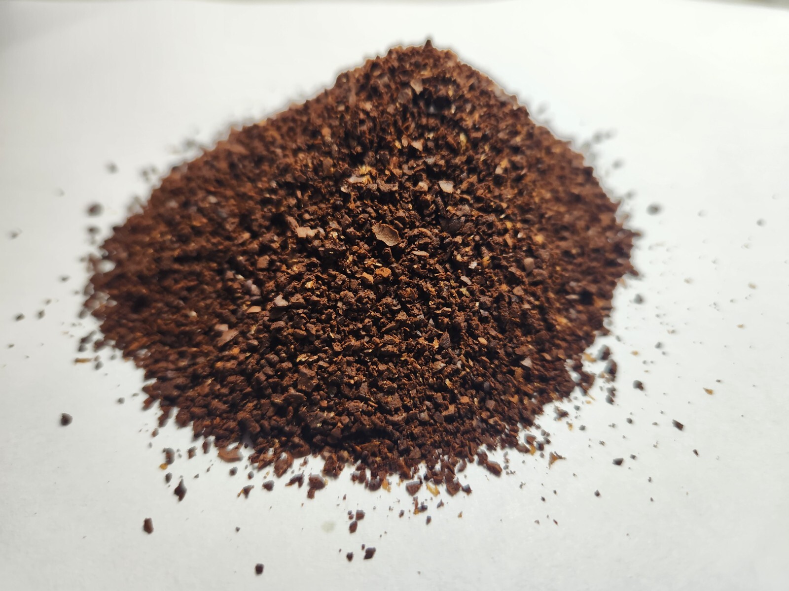 LIMITED – Pluma Arabica Coffee | Oaxaca, Mexico | Small Batch Roast