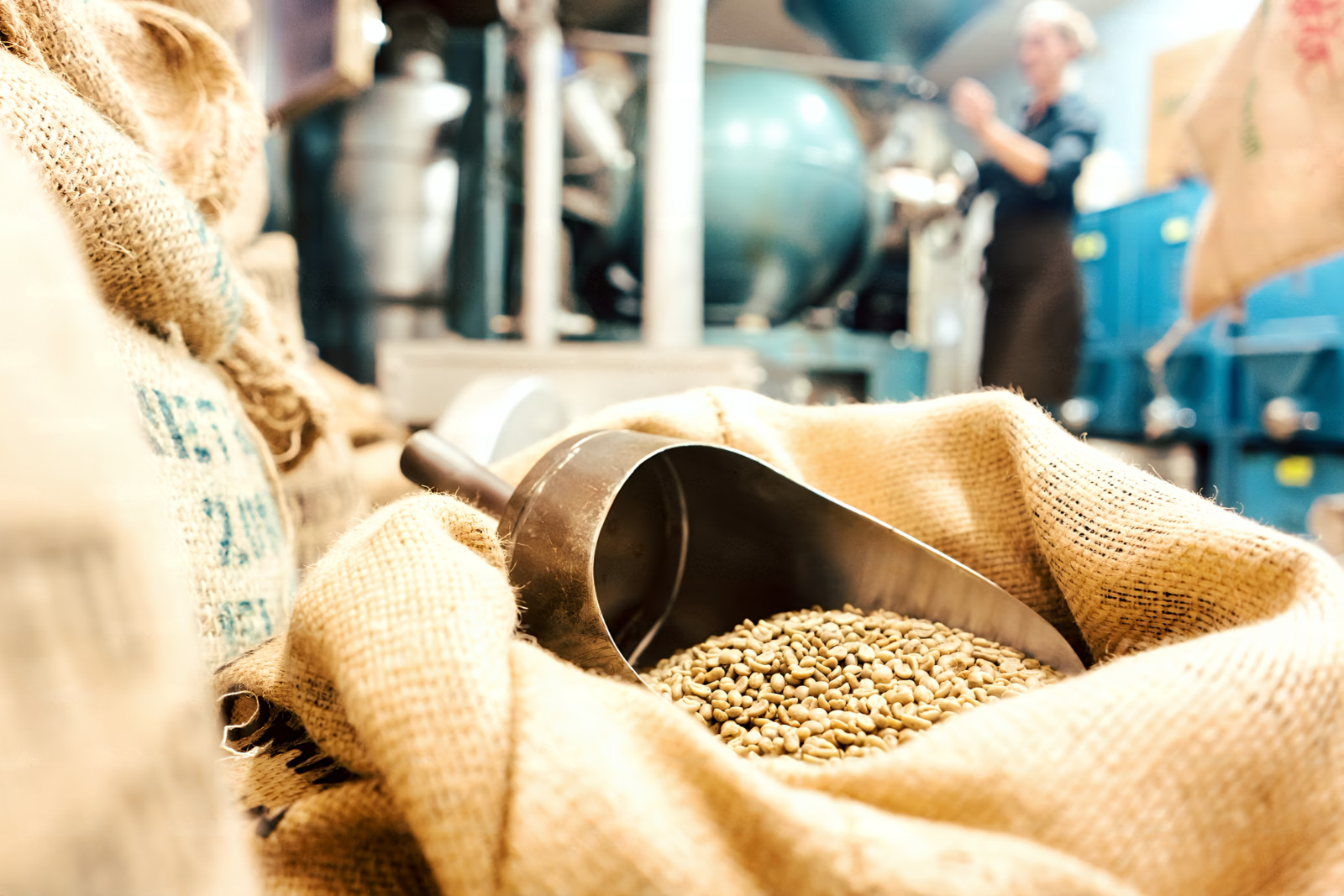 Honduras Copan Specialty Coffee Beans, Fresh Weekly Roasted, 16 oz