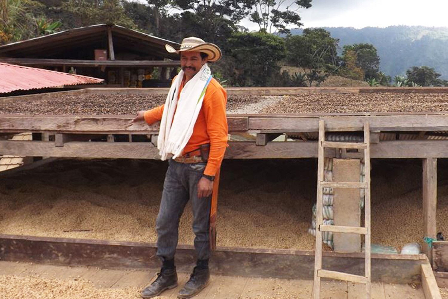 Colombia unroasted green coffee beans, Cordillera sustainable family farms, 4lbs