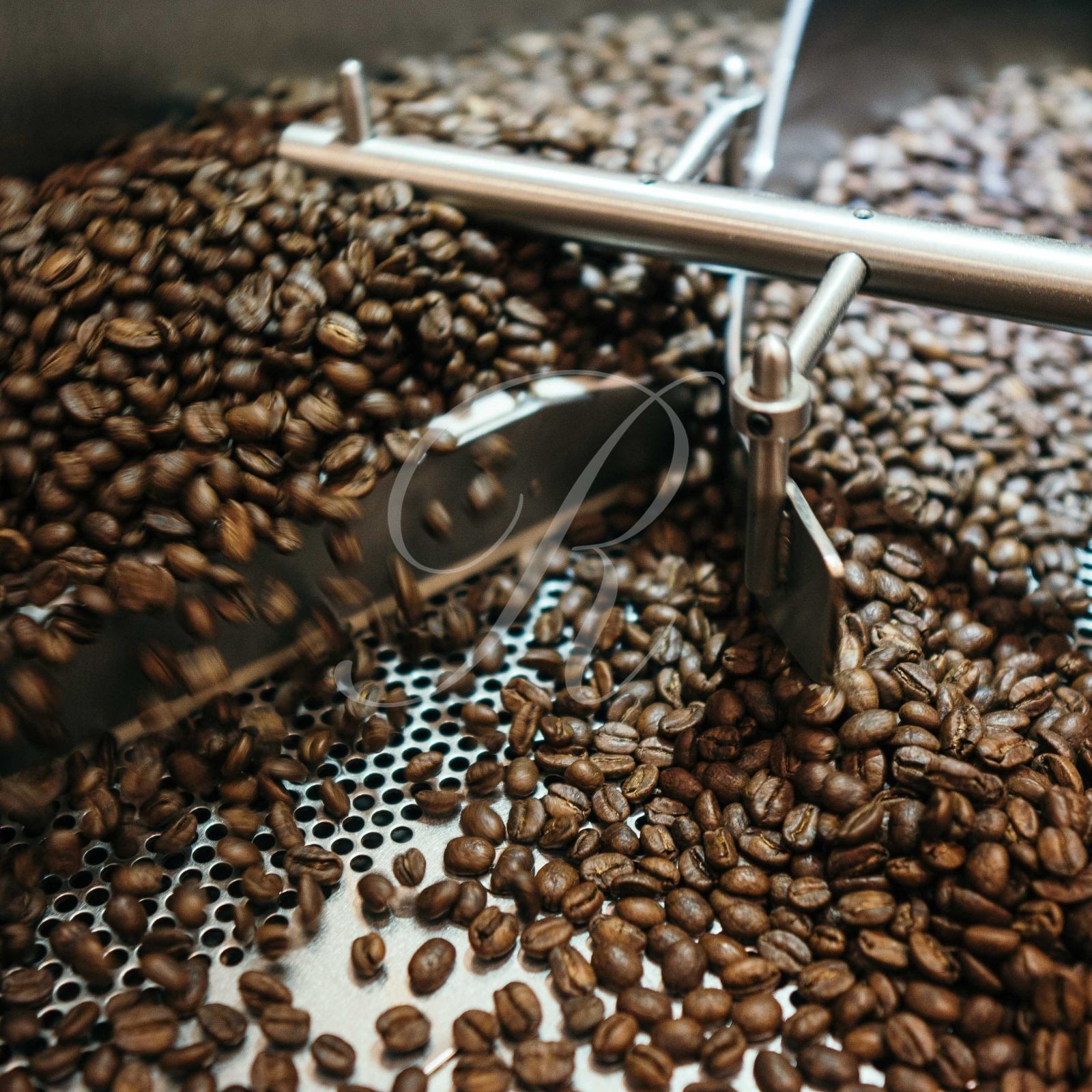 100% Kona Extra Fancy Coffee, 10 lbs, Fresh Roasted to Order or Green beans!