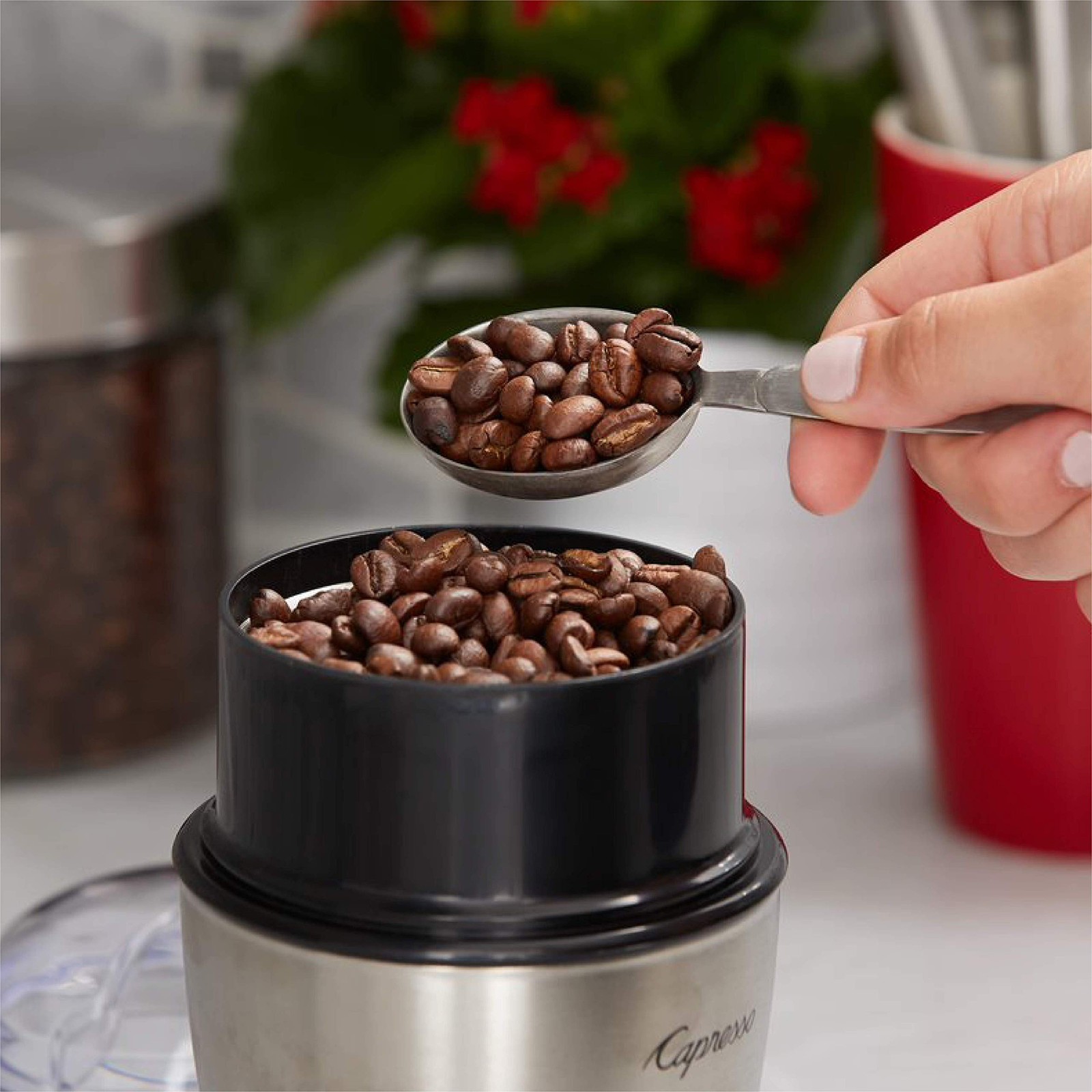 Tim Hortons Whole Bean Original, Medium Roast Coffee, Made with 100% Arabica …