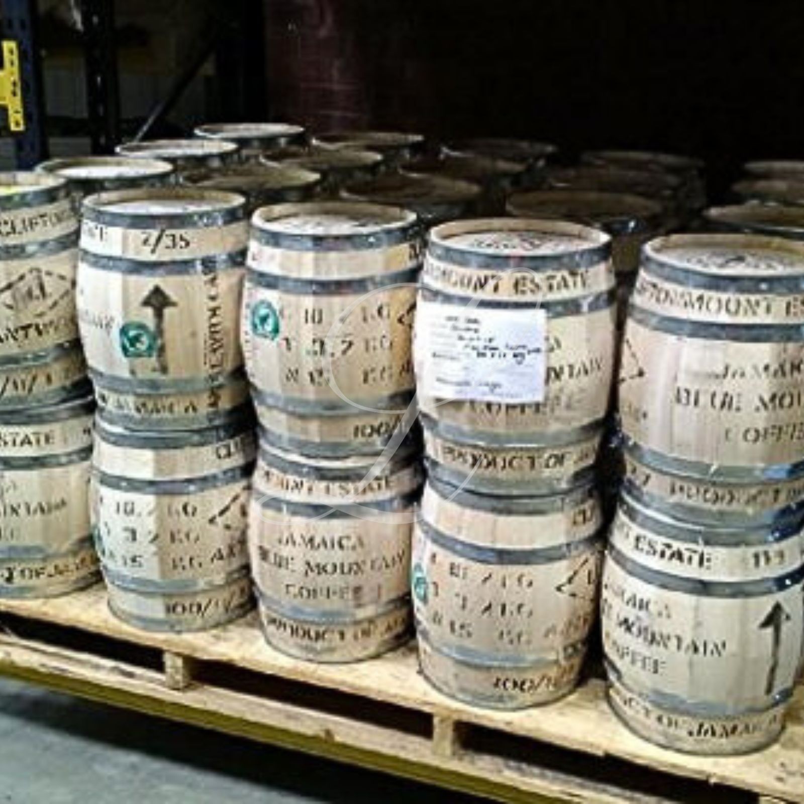 20 lb COMBO OF DARK Jamaica Blue Mountain & Kona Extra Fancy Coffee ~ Free Ship!