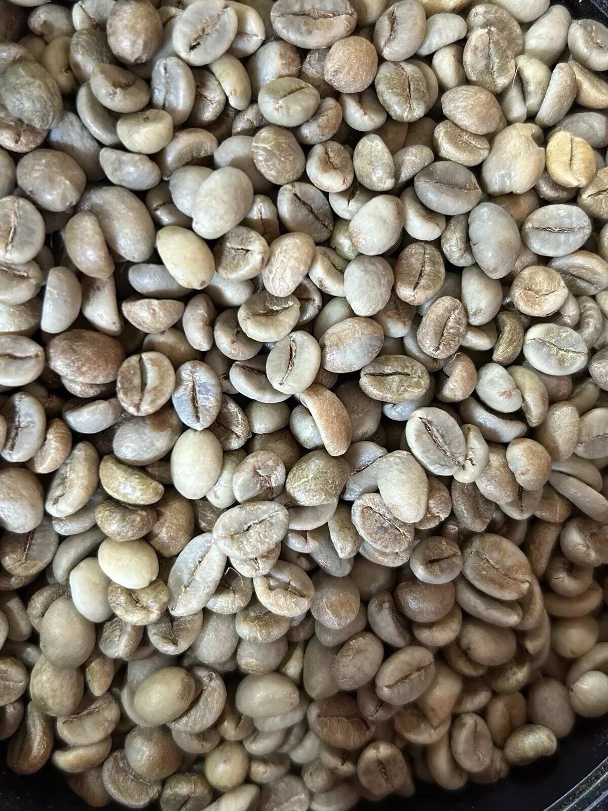 #5 Green Honduras Coffee