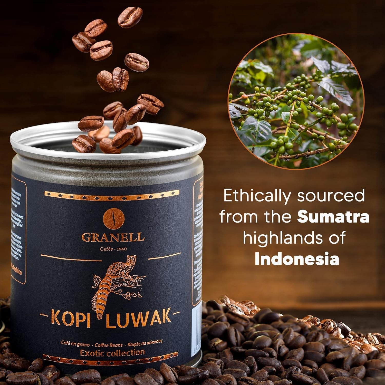 Civet Cat Coffee Beans – Earthy Flavor, Bold Aroma ”/