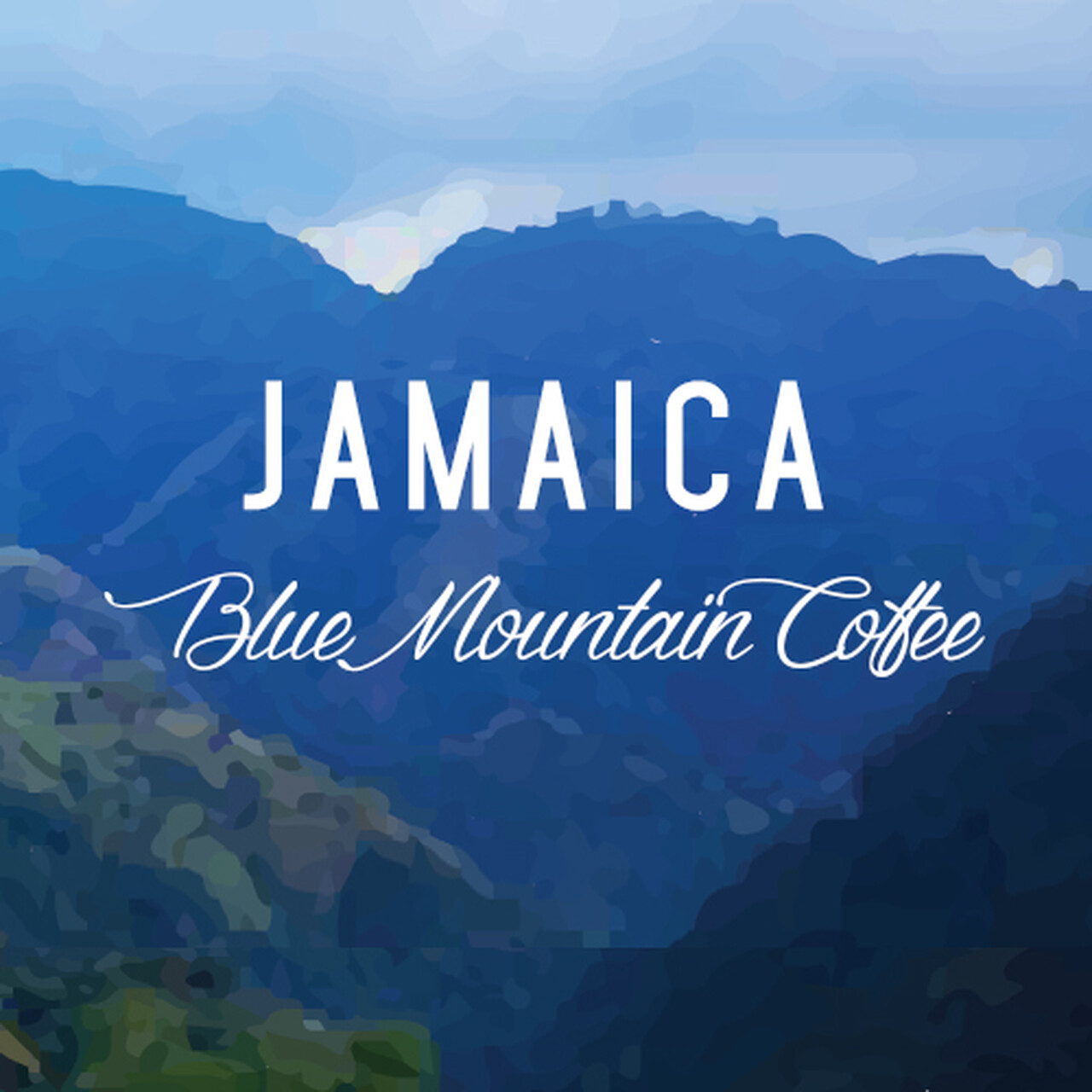 100% JAMAICAN BLUE MOUNTAIN COFFEE BEANS DARK ROASTED 1 POUND BAG