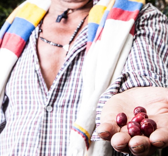 2 lb Colombia Huila Pitalito El Tiple Supremo Fresh Roasted Coffee Whole Bean
