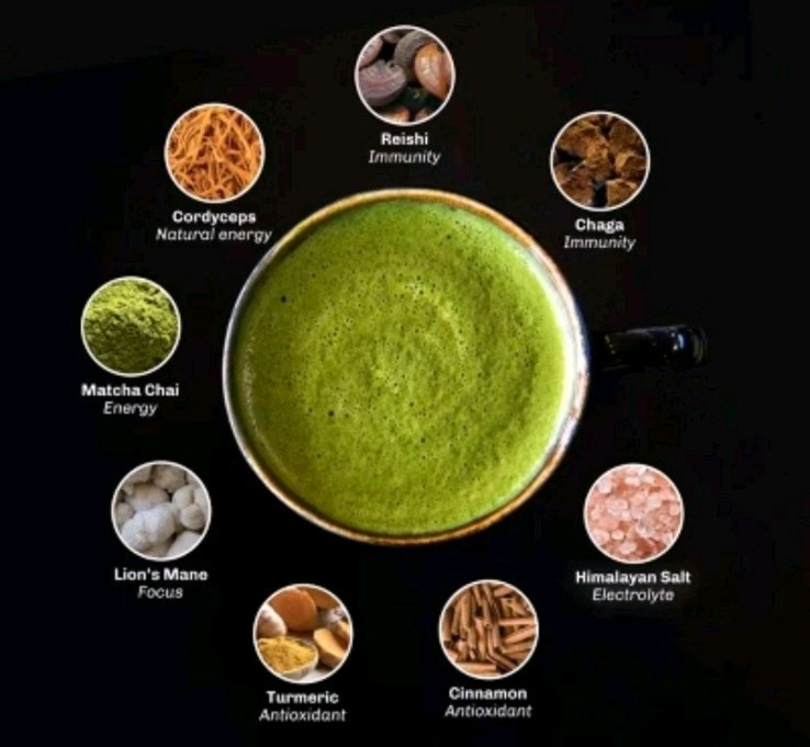 MUDWTR Organic Matcha Mushroom Coffee Alternative – 2.5oz
