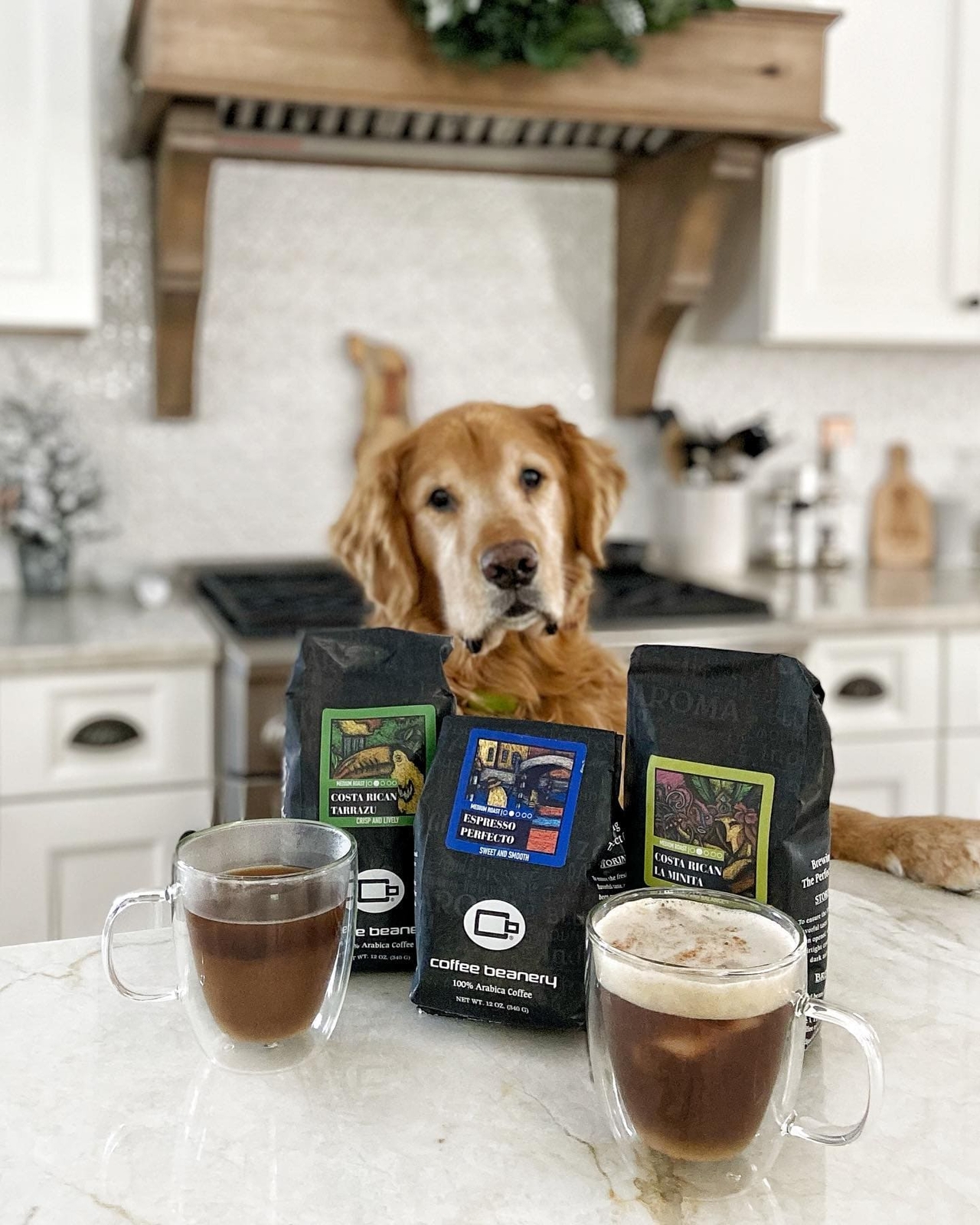 Costa Rican Tarrazu Specialty Coffee