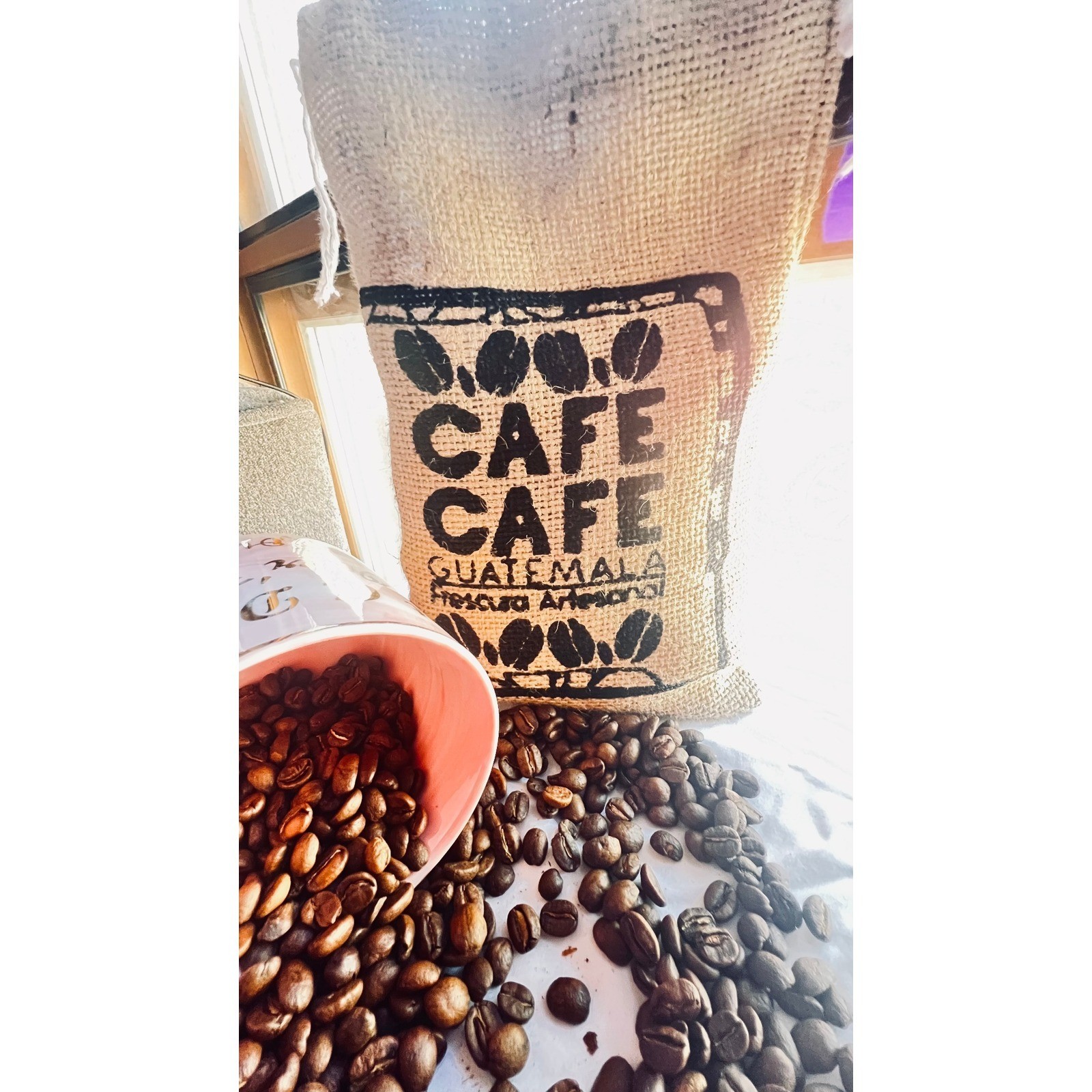 Guatemalan Coffee Beans Huehuetenango | Medium Roast Whole Bean Coffee | 12 oz