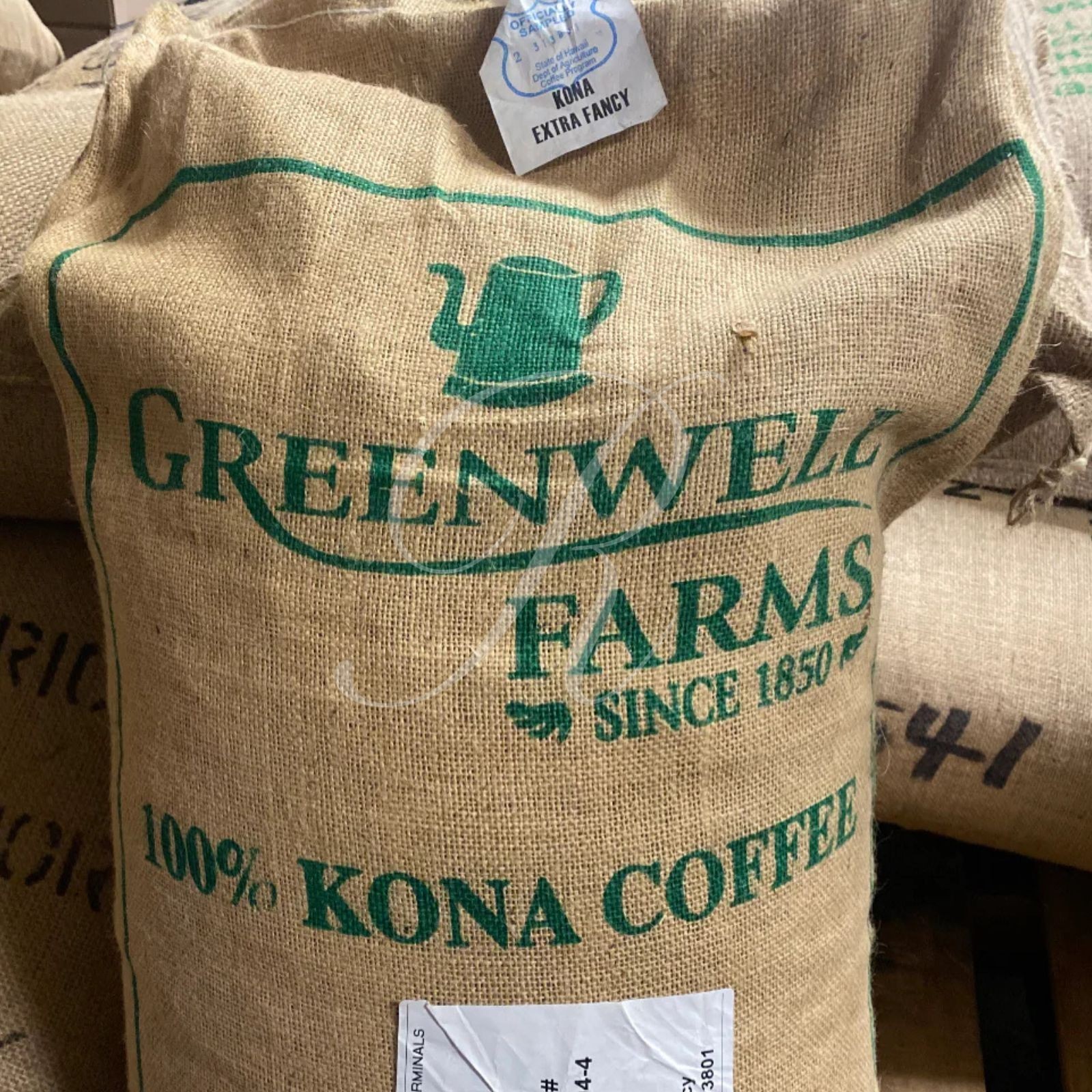 6 lb Combo of 100% Jamaica Blue Mountain & Kona Extra Fancy Coffee – Free Ship!