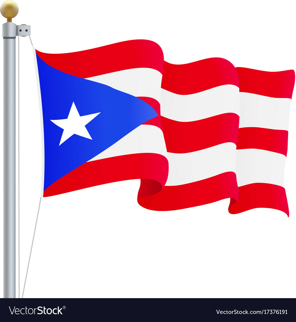 2026 Cafe’ Puerto Rico – Fresh Roasted – Puerto Rican – Coffee Beans – 12 oz