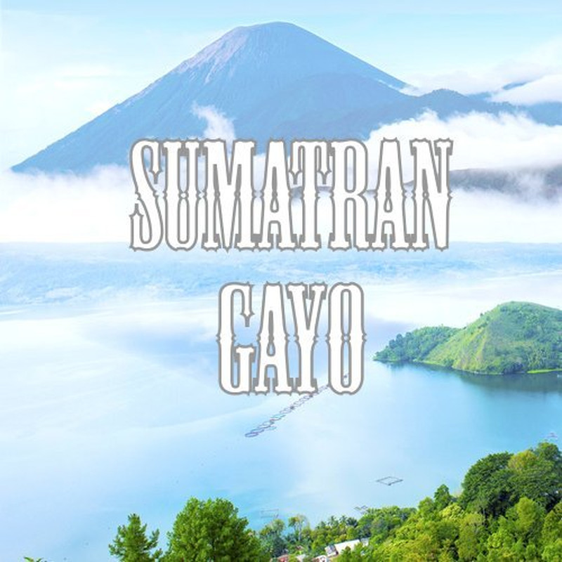 Sumatra Gayo Coffee, Whole Bean, Low Acid, Fair Trade, Fresh Roasted, Kosher, 16